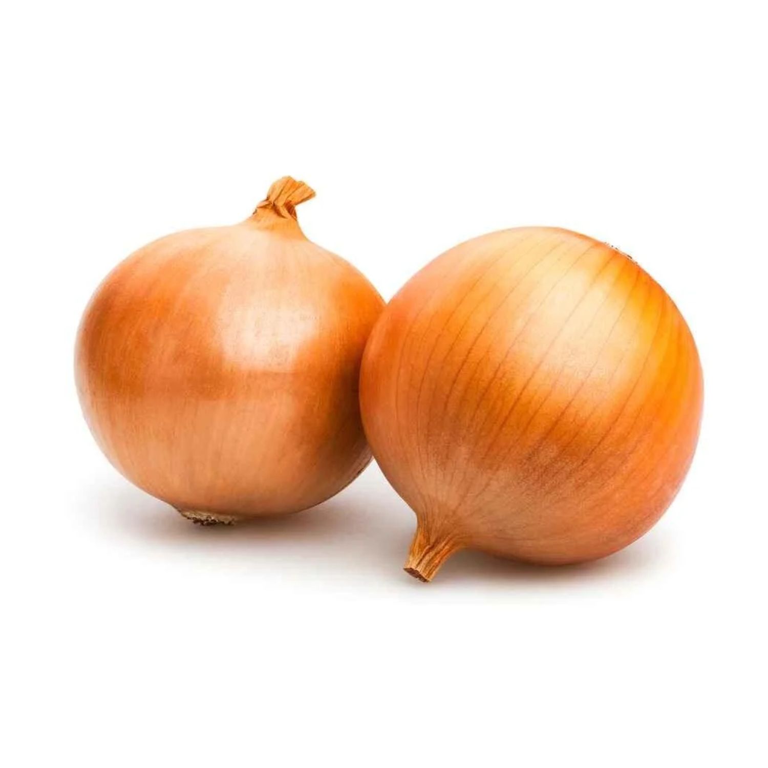 Spanish Onion kg